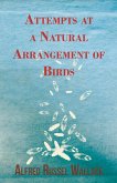 Attempts at a Natural Arrangement of Birds (eBook, ePUB) Attempts at a Natural Arrangement of Birds (eBook, ePUB)