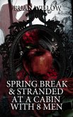 Spring Break & Stranded at a Cabin with 8 Men (Spring Break and Stranded with Her Best Friend's Brothers, #6) (eBook, ePUB) Spring Break & Stranded at a Cabin with 8 Men (Spring Break and Stranded with Her Best Friend's Brothers, #6) (eBook, ePUB)