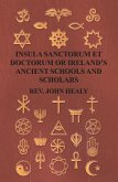Insula Sanctorum Et Doctorum Or Ireland's Ancient Schools And Scholars (eBook, ePUB)