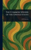 The Common Spiders of the United States