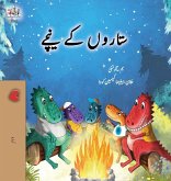 Under the Stars (Urdu Kids Book) Under the Stars (Urdu Kids Book)