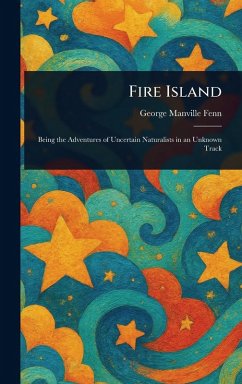 Cover Fire Island
