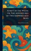 Adrift in the Wilds; Or, The Adventures of Two Shipwrecked Boys