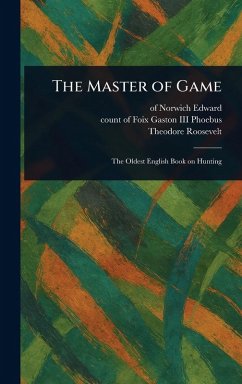 Cover The Master of Game