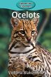 Ocelots - Bild 1