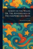 Adrift in the Wilds; Or, The Adventures of Two Shipwrecked Boys Adrift in the Wilds; Or, The Adventures of Two Shipwrecked Boys