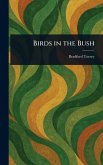 Birds in the Bush Birds in the Bush