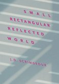 Small, Rectangular, Reflected World Small, Rectangular, Reflected World