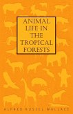 Animal Life in the Tropical Forests (eBook, ePUB)