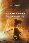 Sturmsänger: Der Funke aus alter Zeit (eBook, ePUB)