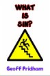 What Is Sin?: An Attempt to Answer This... - Bild 1