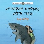 עלילות סבא קיש וכלבו המופלא חיש (4) - התעלומה המסתורית בהרי אילת (MP3-Download)