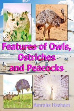 Cover Features of Owls, Ostriches and Peacocks (eBook, ePUB)