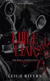 Little liar (The web of silence duet, #2) (eBook, ePUB)