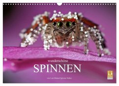 Cover Wunderschöne Spinnen (Wandkalender 2026 DIN A3 quer), CALVENDO Monatskalender