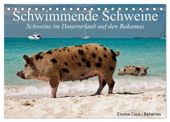 Cover Schwimmende Schweine (Tischkalender 2026 DIN A5 quer), CALVENDO Monatskalender