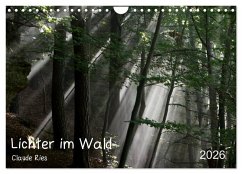 Cover Lichter im Wald (Wandkalender 2026 DIN A4 quer), CALVENDO Monatskalender