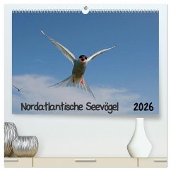 Cover Nordatlantische Seevögel (hochwertiger Premium Wandkalender 2026 DIN A2 quer), Kunstdruck in Hochglanz