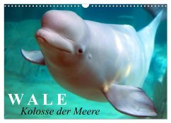 Cover Wale - Kolosse der Meere (Wandkalender 2026 DIN A3 quer), CALVENDO Monatskalender