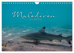 Cover Unterwasserwelt der Malediven I (Wandkalender 2026 DIN A4 quer), CALVENDO Monatskalender