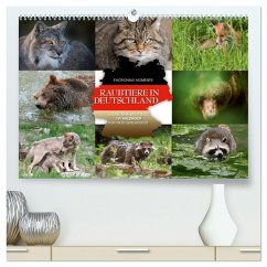Emotionale Momente: Raubtiere in Deutschland (hochwertiger Premium Wandkalender 2026 DIN A2 quer), Kunstdruck in Hochglanz Emotionale Momente: Raubtiere in Deutschland (hochwertiger Premium Wandkalender 2026 DIN A2 quer), Kunstdruck in Hochglanz