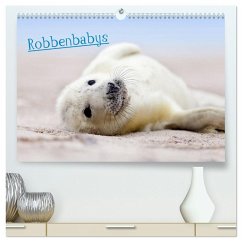 Cover Robbenbabys (hochwertiger Premium Wandkalender 2026 DIN A2 quer), Kunstdruck in Hochglanz