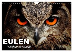 Cover Eulen. Wächter der Nacht (Wandkalender 2026 DIN A4 quer), CALVENDO Monatskalender