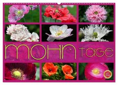 Cover Mohn Tage (Wandkalender 2026 DIN A2 quer), CALVENDO Monatskalender