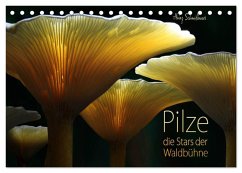 Cover Pilze - die Stars der Waldbühne (Tischkalender 2026 DIN A5 quer), CALVENDO Monatskalender