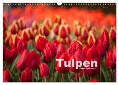 Cover Tulpen (Wandkalender 2026 DIN A3 quer), CALVENDO Monatskalender