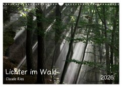 Cover Lichter im Wald (Wandkalender 2026 DIN A3 quer), CALVENDO Monatskalender