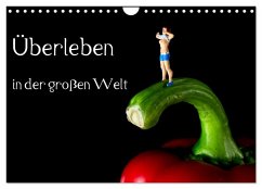 Überleben in der großen Welt - HO Figuren (Wandkalender 2026 DIN A4 quer), CALVENDO Monatskalender Überleben in der großen Welt - HO Figuren (Wandkalender 2026 DIN A4 quer), CALVENDO Monatskalender