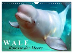 Cover Wale - Kolosse der Meere (Wandkalender 2026 DIN A4 quer), CALVENDO Monatskalender