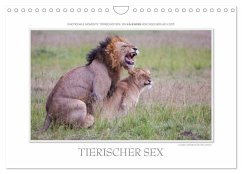 Emotionale Momente: Tierischer Sex. (Wandkalender 2026 DIN A4 quer), CALVENDO Monatskalender Emotionale Momente: Tierischer Sex. (Wandkalender 2026 DIN A4 quer), CALVENDO Monatskalender