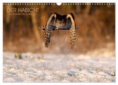 Cover DER HABICHT, Des Falkners Allrounder (Wandkalender 2026 DIN A3 quer), CALVENDO Monatskalender