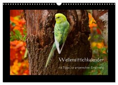 Wellensittichkalender mit Tipps zur artgerechten Ernährung (Wandkalender 2026 DIN A3 quer), CALVENDO Monatskalender Wellensittichkalender mit Tipps zur artgerechten Ernährung (Wandkalender 2026 DIN A3 quer), CALVENDO Monatskalender