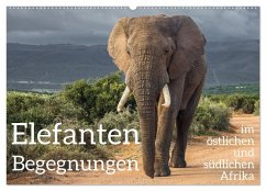 Elefanten Begegnungen im östlichen und südlichen Afrika (Wandkalender 2026 DIN A2 quer), CALVENDO Monatskalender Elefanten Begegnungen im östlichen und südlichen Afrika (Wandkalender 2026 DIN A2 quer), CALVENDO Monatskalender