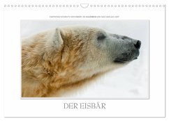 Emotionale Momente: Der Eisbär. (Wandkalender 2026 DIN A3 quer), CALVENDO Monatskalender Emotionale Momente: Der Eisbär. (Wandkalender 2026 DIN A3 quer), CALVENDO Monatskalender