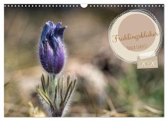 Cover Frühlingsblüher - Farbenpracht nach dem Winter (Wandkalender 2026 DIN A3 quer), CALVENDO Monatskalender