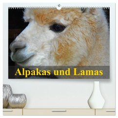 Alpakas und Lamas (hochwertiger Premium Wandkalender 2026 DIN A2 quer), Kunstdruck in Hochglanz Alpakas und Lamas (hochwertiger Premium Wandkalender 2026 DIN A2 quer), Kunstdruck in Hochglanz