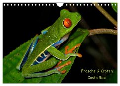 Frösche & Kröten Costa Rica (Wandkalender 2026 DIN A4 quer), CALVENDO Monatskalender Frösche & Kröten Costa Rica (Wandkalender 2026 DIN A4 quer), CALVENDO Monatskalender