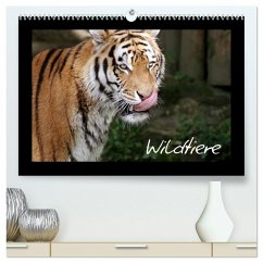 Wildtiere (hochwertiger Premium Wandkalender 2026 DIN A2 quer), Kunstdruck in Hochglanz