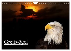 Greifvögel (Wandkalender 2026 DIN A4 quer), CALVENDO Monatskalender Greifvögel (Wandkalender 2026 DIN A4 quer), CALVENDO Monatskalender
