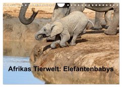 Cover Afrikas Tierwelt: Elefantenbabys (Wandkalender 2026 DIN A4 quer), CALVENDO Monatskalender