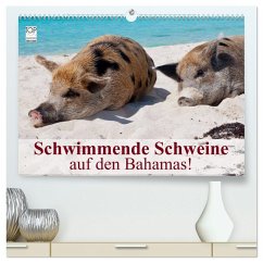 Cover Schwimmende Schweine auf den Bahamas! (hochwertiger Premium Wandkalender 2026 DIN A2 quer), Kunstdruck in Hochglanz