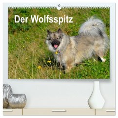 Der Wolfsspitz (hochwertiger Premium Wandkalender 2026 DIN A2 quer), Kunstdruck in Hochglanz Der Wolfsspitz (hochwertiger Premium Wandkalender 2026 DIN A2 quer), Kunstdruck in Hochglanz