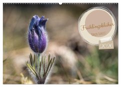 Cover Frühlingsblüher - Farbenpracht nach dem Winter (Wandkalender 2026 DIN A2 quer), CALVENDO Monatskalender