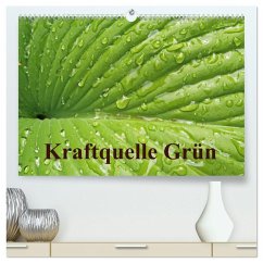 Kraftquelle Grün (hochwertiger Premium Wandkalender 2026 DIN A2 quer), Kunstdruck in Hochglanz