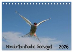 Cover Nordatlantische Seevögel (Tischkalender 2026 DIN A5 quer), CALVENDO Monatskalender