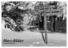 Harz-Bilder in monochrome (Wandkalender... - Bild 1